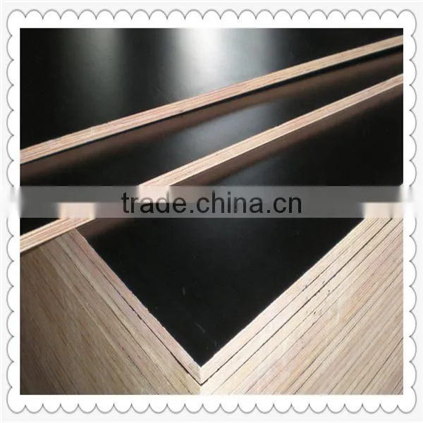 Film Faced Plywood / Marine Plywood /Shuttering Plywood photo-4