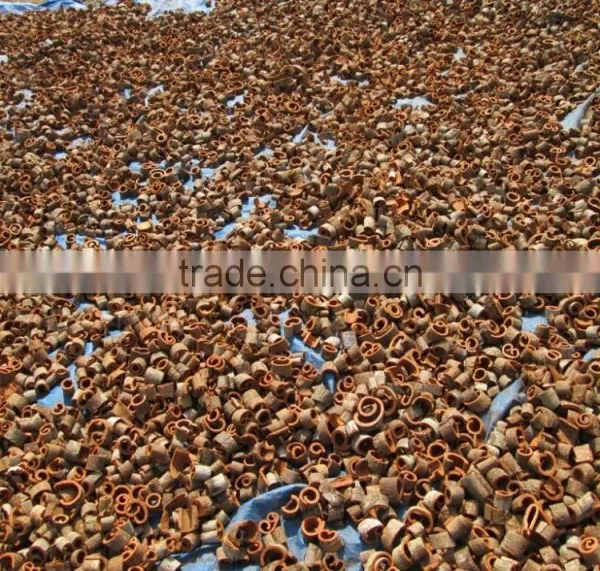 Cinnamon Spices photo-3