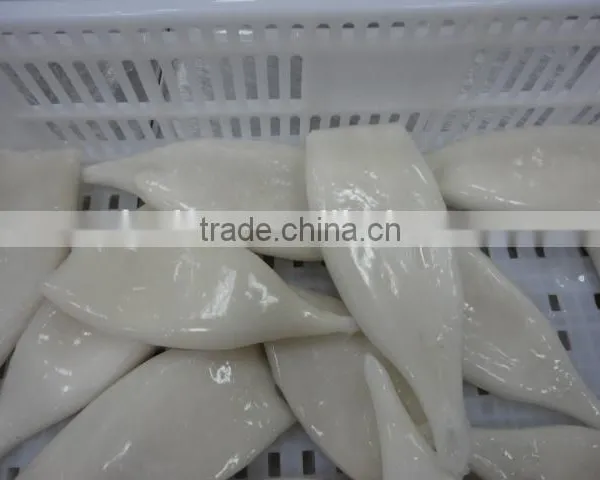 Frozen Tordarodes and Argentina Squid Tube U10,U5 photo-5