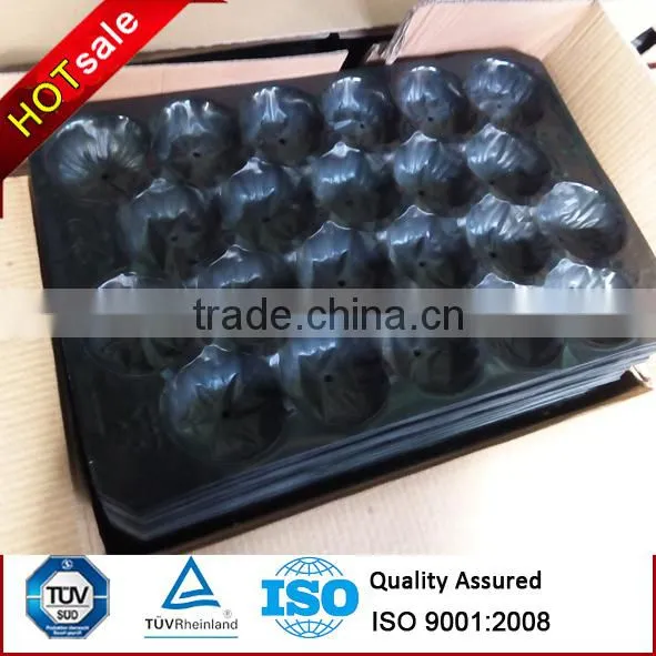 FDA Approval Vacuum Formed Blister Packaging 29x49cm Alveolus PP Tray For Fresh Fruits photo-4