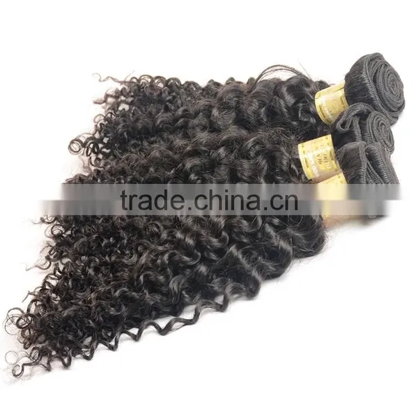 100% Natural Indian Real Hair, Afro Kinky Curly 100% Indian Human Hair Extensions photo-2