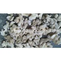 Dry Ginger Wholesale photo-3