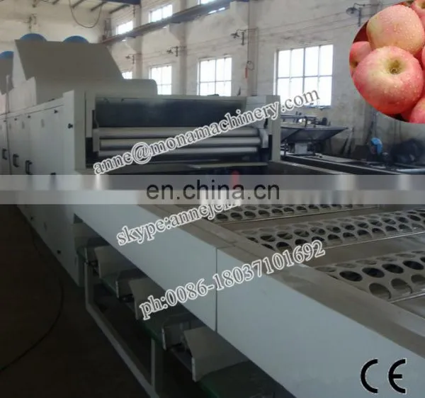 Fruit Sorting Machine Fruit Grading Machine Potato Grader photo-4