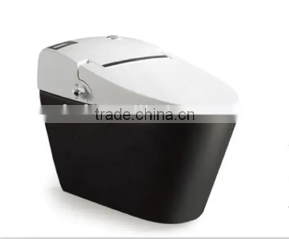 South America Toilet,siphonic One Piece Toilet