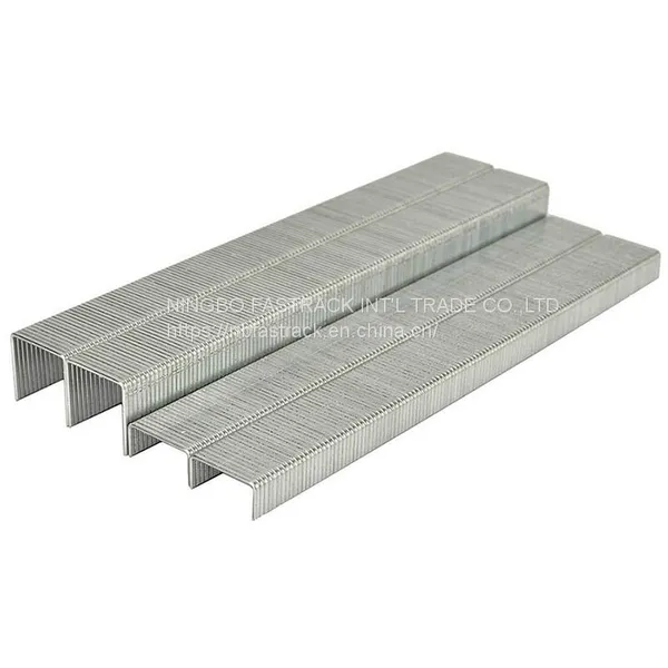 21gauge Fine Crown Air Staple Pneumatic Nb-fastrack Staple 8016 Furniture Decoration