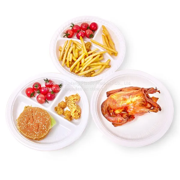 Manufacturer Customized 8inch 10 Inch Round Plate PP Dinner Plate Disposable Plastic Parties Dish photo-4