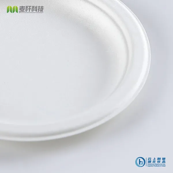 Disposable Biodegradable 6 INCH PLATE Take Away Sugarcane Outdoor Dining and Painting photo-4