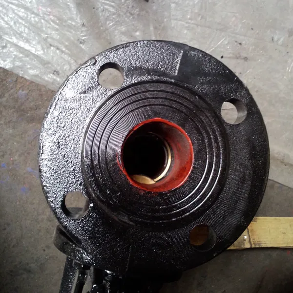 Russian Standard GOST Cast Steel Cast Iron Gate Valve photo-4