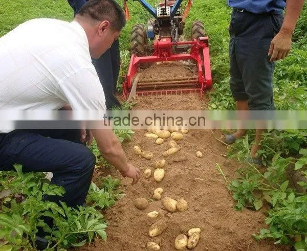 12 - 18HP Walking Tractor Single Row Potato Harvester photo-3