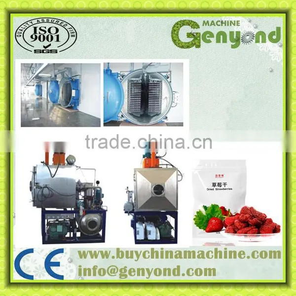 Vacuum Dryer Equipment/machine