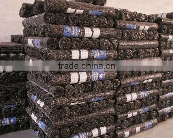 25mm x 1.2m x 25m Gi Hexagonal Wire Mesh For Dubai Market/Chicken Wire Mesh Rolls photo-5