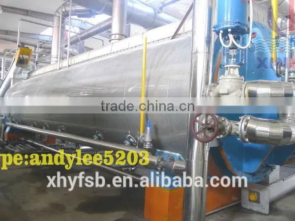 Steam Dryer