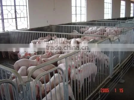 Pig Raising Equipment