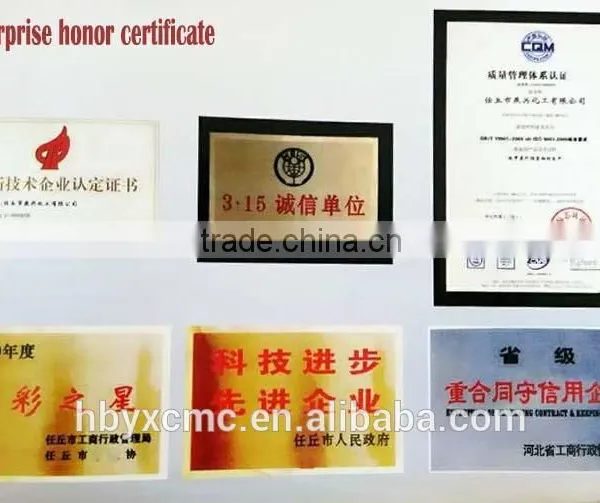Great Sales White Powder Pre-gelatinized Starch photo-4