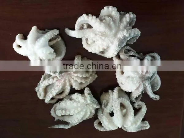 FROZEN OCTOPUS (FLOWER) photo-3