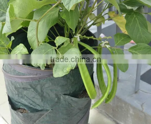 Vegetable Planting Bag, Strawberry Planting Bag, Potato Planting Bag photo-3