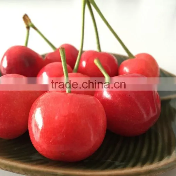 China Paper Bagged Fresh Cherries photo-2