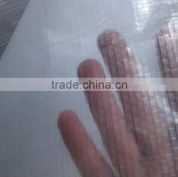 Clear Transparent pe Laminated Fabric Grape Tree Cover photo-4