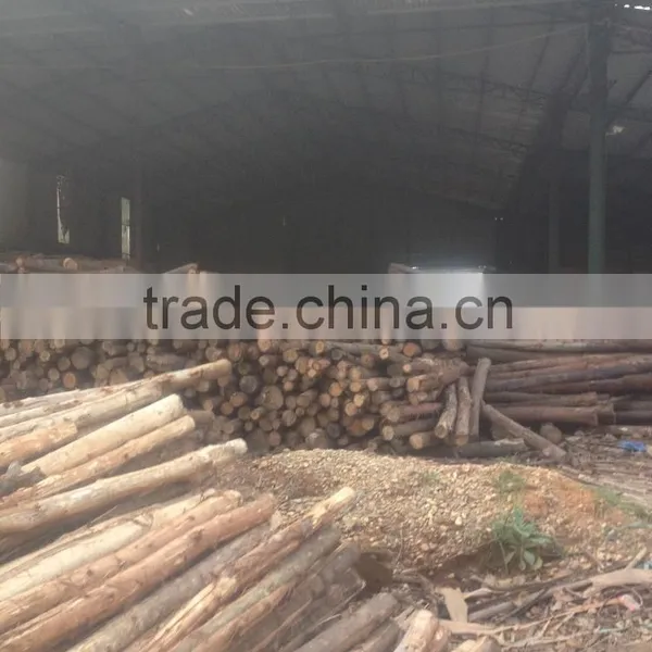 Core Veneer Full Size photo-6
