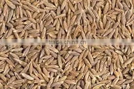 Cumin Seed European Quality photo-5