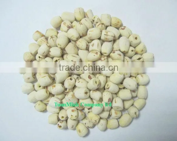 Vietnam White Lotus Seeds (the Best Quality)