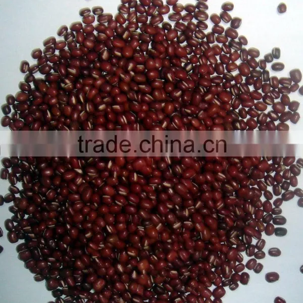 2015 New Crop the British Red Kidney Beans From China photo-6