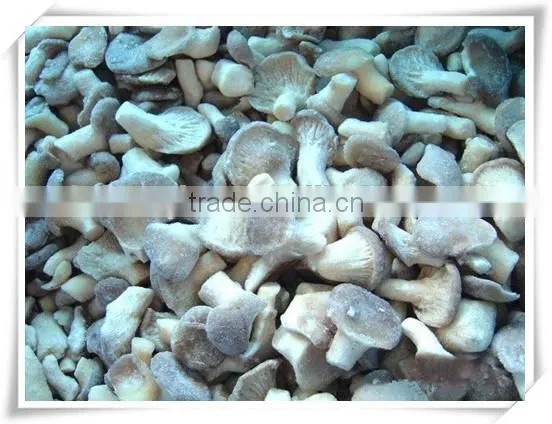 Blended Frozen Mushroom photo-2