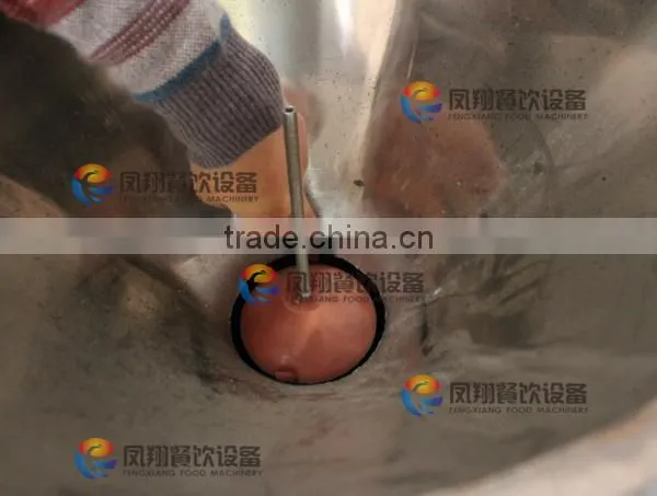 Industrial Garlic Machine, Shallot Stripper, Garlic Peeling Machine With CE Certificate photo-4