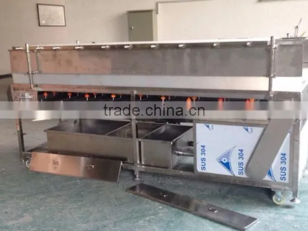 DUP-5000 Vegetable and Fruit Top and Bottom Washer Cleaner photo-2