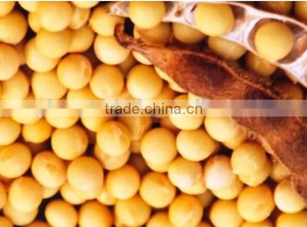 Factory Supply Food Grade Soya Lecithin Powder 98% Min photo-2