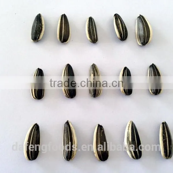 Hetao Sunflower Seeds5009.3939.3638.363,135.909 photo-2