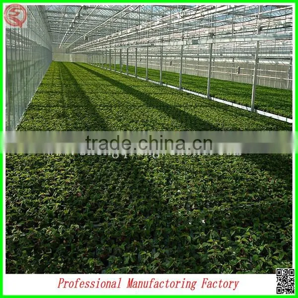 Best Selling High Quality SQ-9.6 Glass Greenhouse With Beautiful Appearance photo-4