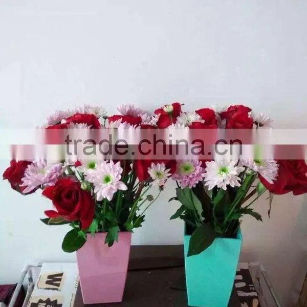 2016 New Garden Pot Garden Flower Pots Garden Planter Decoration Flower Panters photo-6
