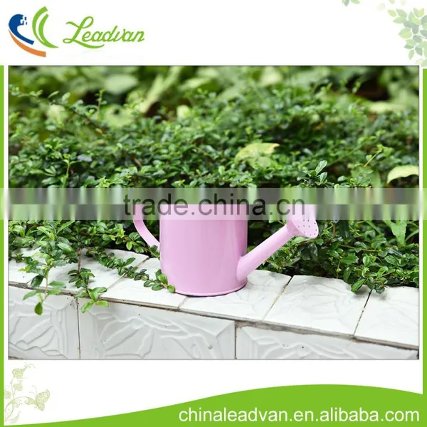 New Design Decorative Small Metal Flower Watering Can for Gardening Tools photo-5