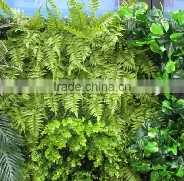 Plastic Green Wall for Living Room Decoration,mini Green Wall Interior Decoration photo-5