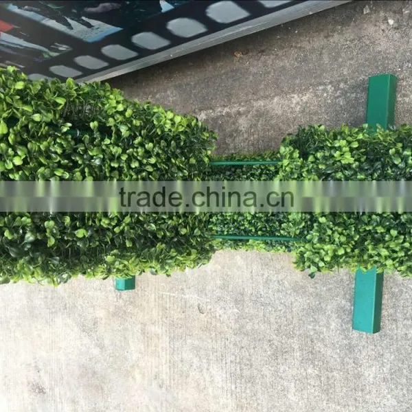 Artificial Boxwood Hedge for Sale photo-5