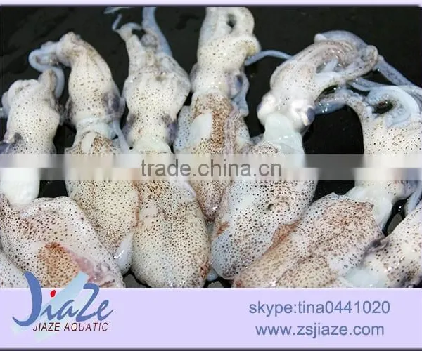 Zhoushan Aquatic Product Frozen Baby Squid photo-2