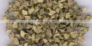 TRIBULUS TERRESTRIS photo-2
