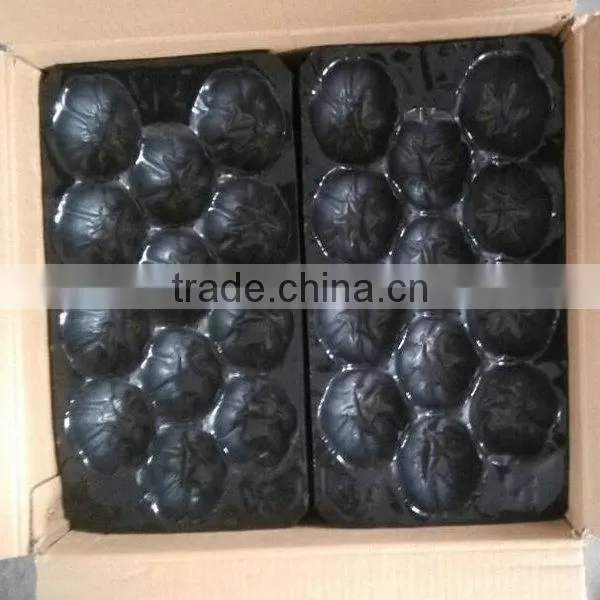 Disposable Plastic Vegetable Container photo-5