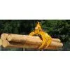 TIMBER GRAB