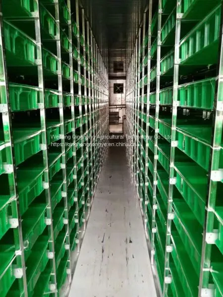 Container Type Hydroponic System Seed Germination Machine Hydroponic Forage Forage Planting System photo-5