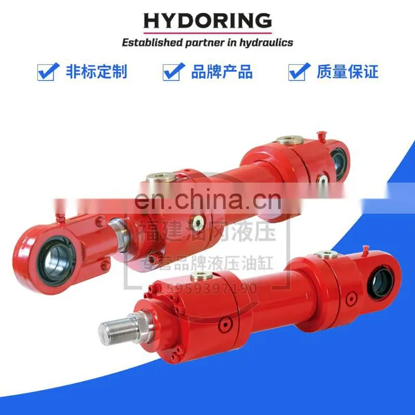 Germany HYDORING Cylinder HHD6510PK63/36-215-a+b-100 Servo Cylinder With Valve photo-5