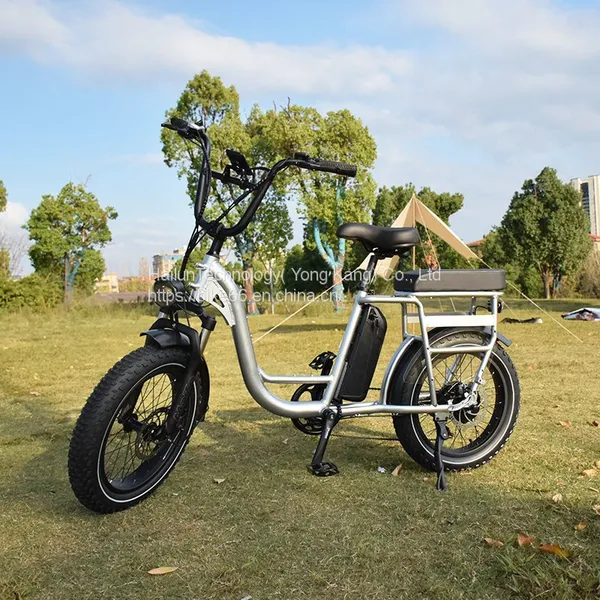 China Mid Drive Vintage Electric Bike for Sale/bicicleta Electrica Ebike /electric Bicycle From Factory photo-5