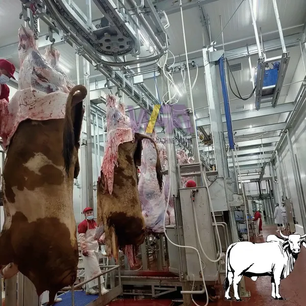 Freely Design Complete Cow Slaughter Line Equipment of Turnkey Project Solution Cattle Abattoir Machine photo-3