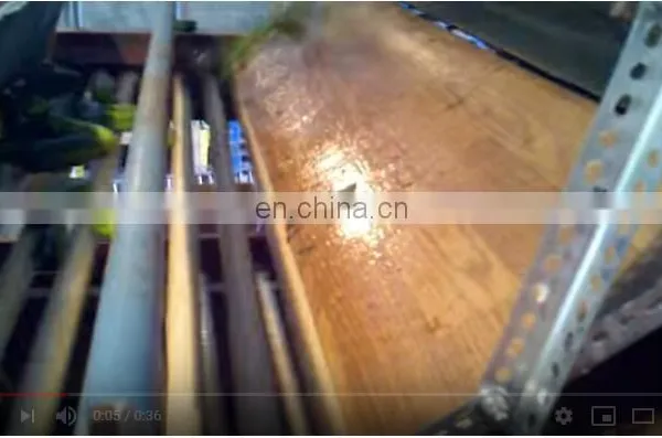 Fully Automatic Stainless Steel Cucumber Length Sorting photo-4