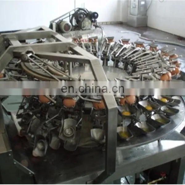 Hot Sale Egg White Powder Production Line photo-2