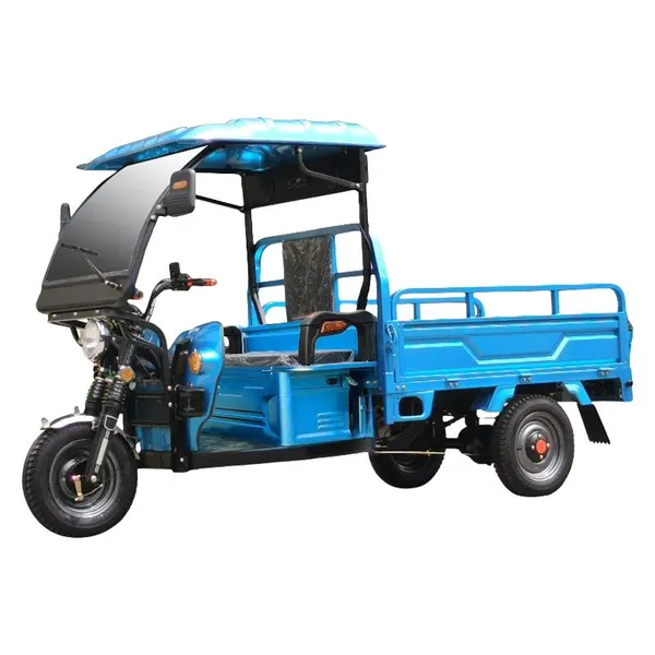High Quality and Good Looking Electric Tricycle E-Trike 3 Wheeler Motortricycle For Cargo Transport photo-4