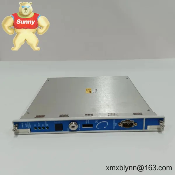 Bently Nevada 3500/20-01-01-00 Rack Interface Module — Framework Communications for the 3500 Protection System photo-5
