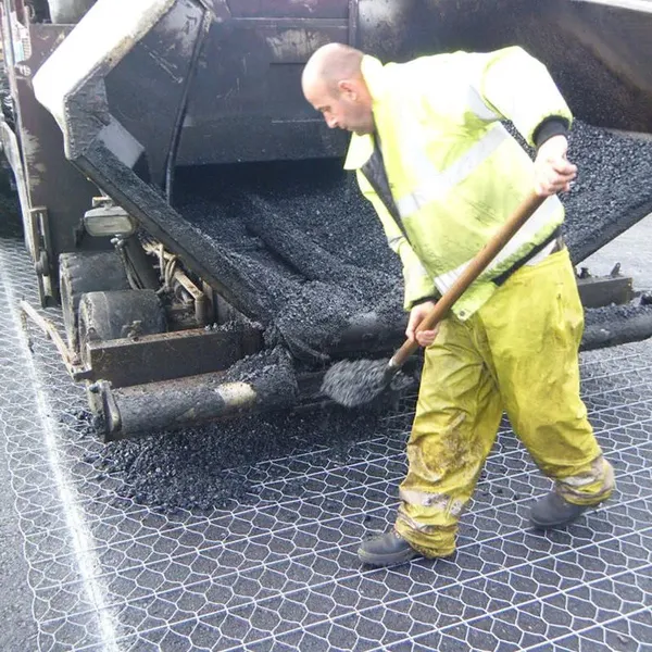 Galvanized Double Twisted Steel Wire Mesh Pavement Reinforcement Mesh for Reinforce Road