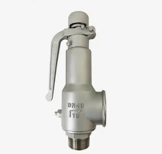 Spring Fully Open Safety Valve Stainless Steel High-temperature Steam Pressure Relief Valve photo-2